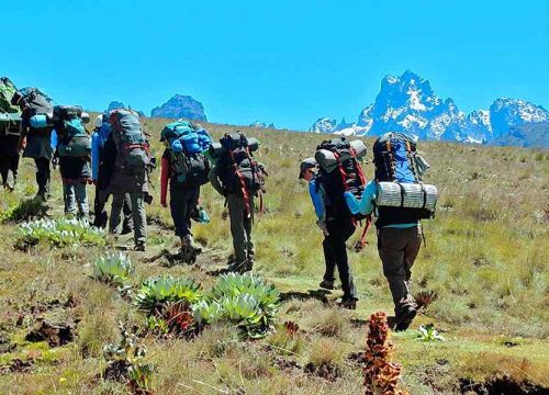 Mount Kenya Climb