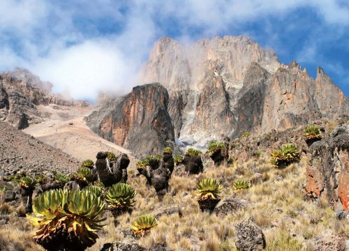 Mt Kenya Climb & Samburu Wildlife Safari