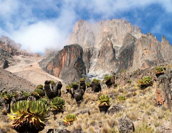 Mt Kenya Climb & Samburu Wildlife Safari