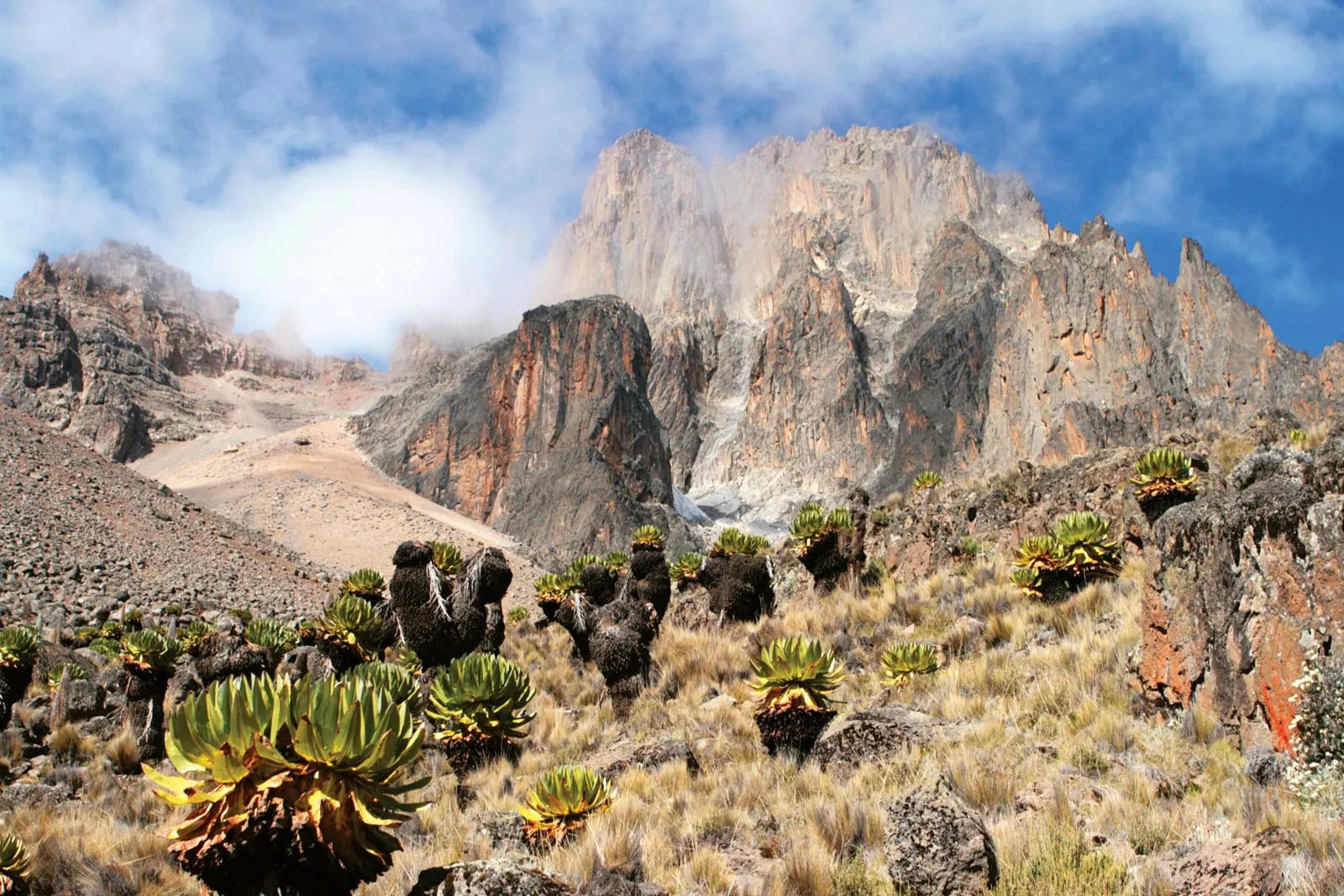 Mt Kenya Climb & Samburu Wildlife Safari