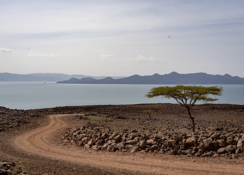 Lake Turkana Safari