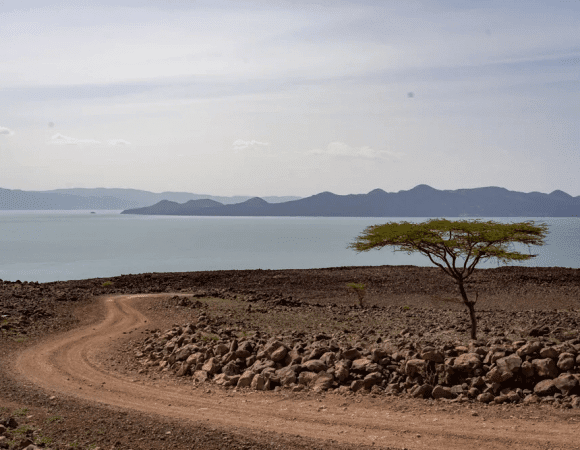 Lake Turkana Safari