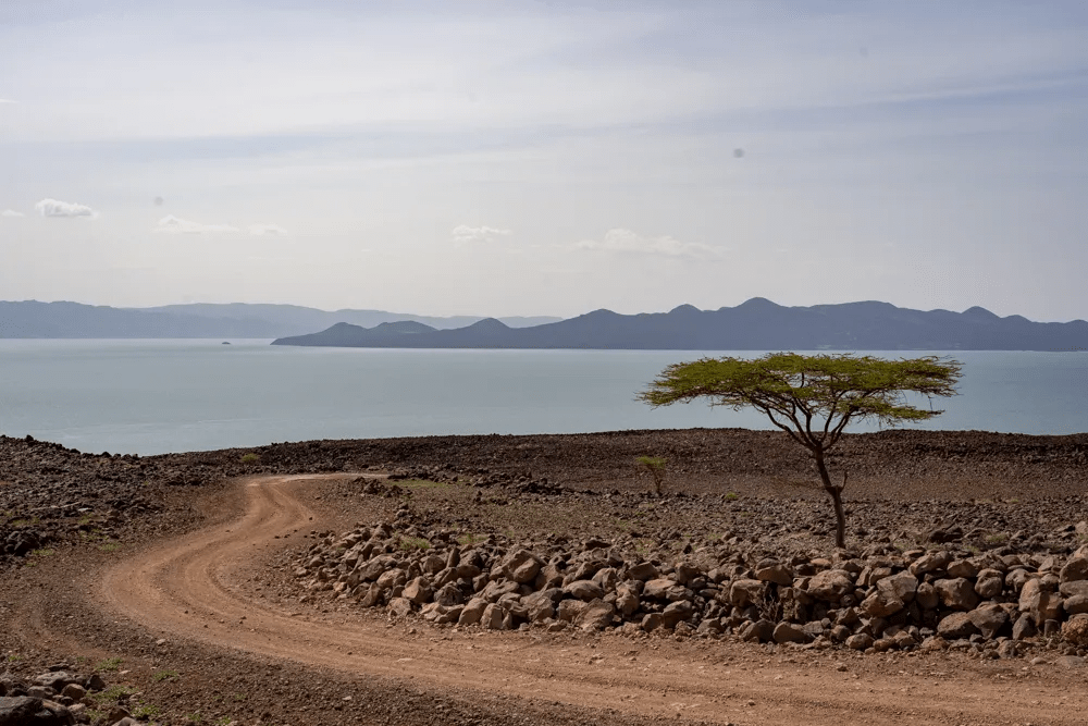 Lake Turkana Safari