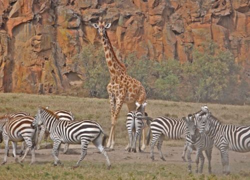 Day Tour of Hells Gate National Park