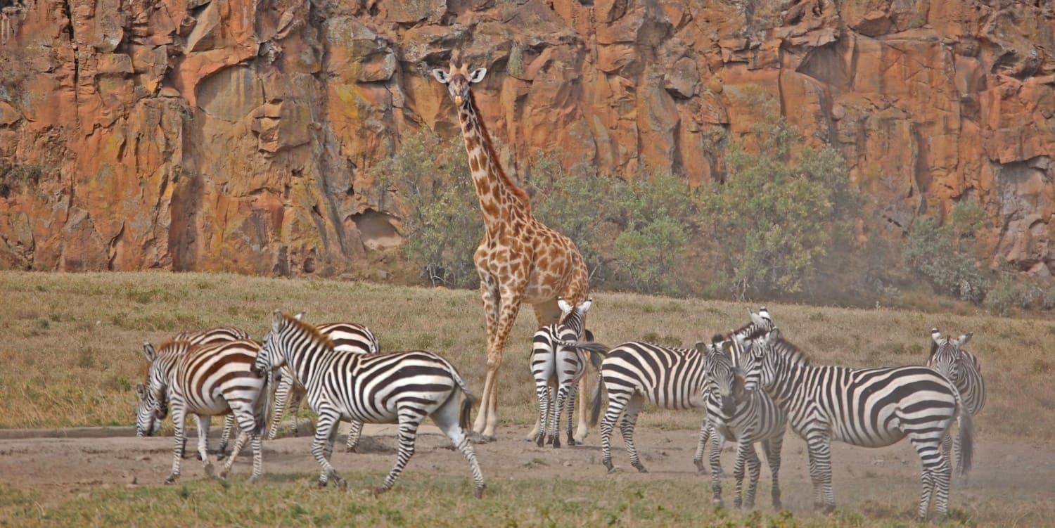 Day Tour of Hells Gate National Park