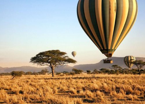 Soaring Above the Wild: Hot Air Balloon Safaris in Maasai Mara