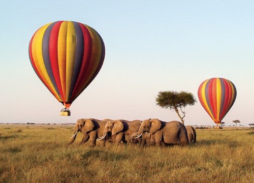 Balloon Safari at Maasai Mara Game Reserve