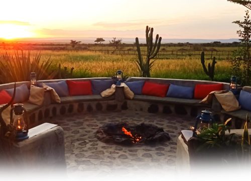 Luxury Safaris in Kenya: Where Opulence Meets the Wild