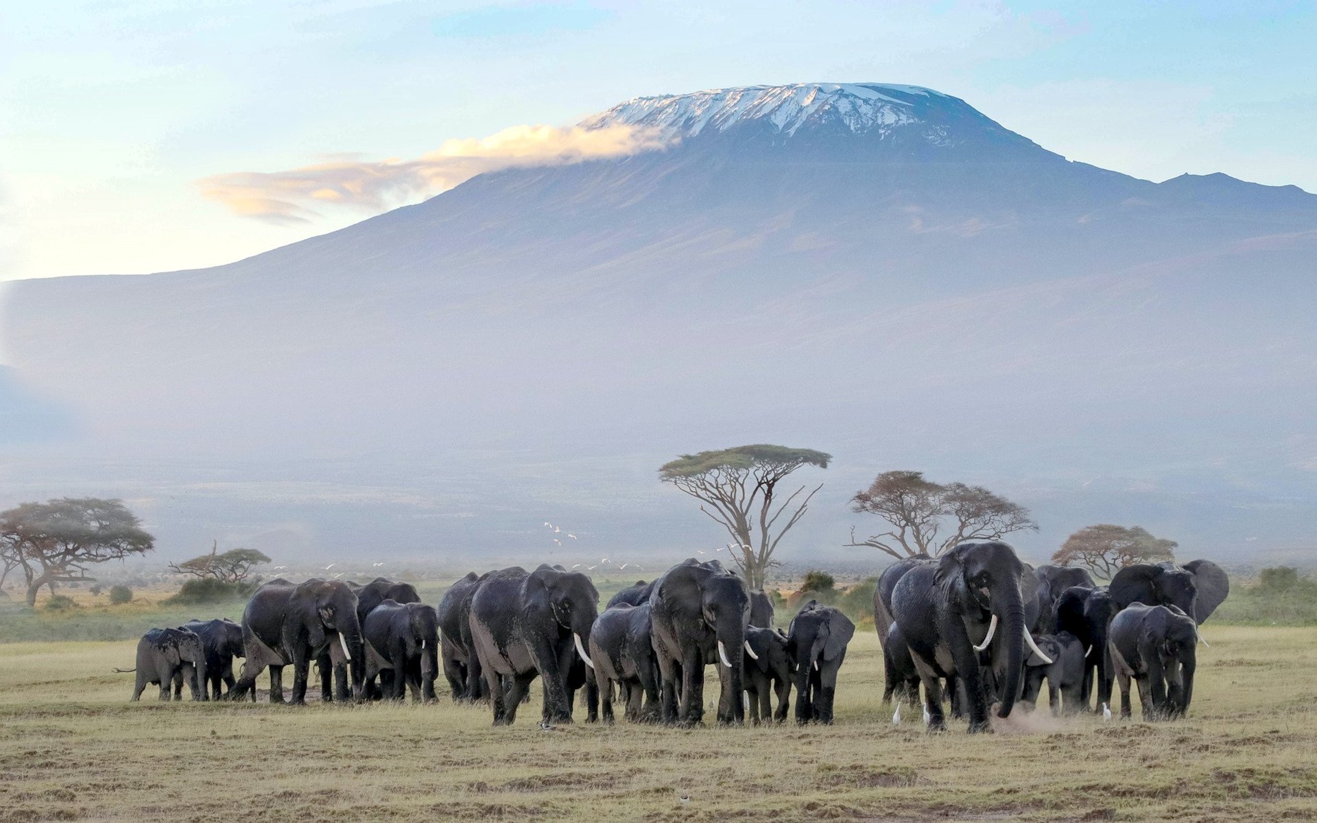 2 Nights Amboseli National Park Safari