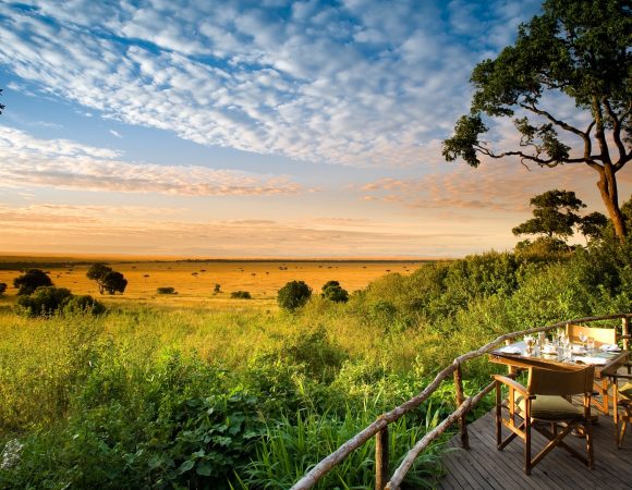 Planning the Ultimate Kenyan Safari: A Step-by-Step Guide
