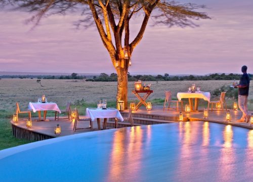 An Unforgettable African Safari Honeymoon Awaits You!