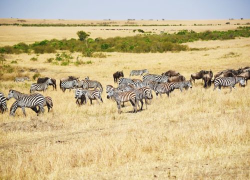 Explore Kajiado County: A Hidden Gem in Kenya