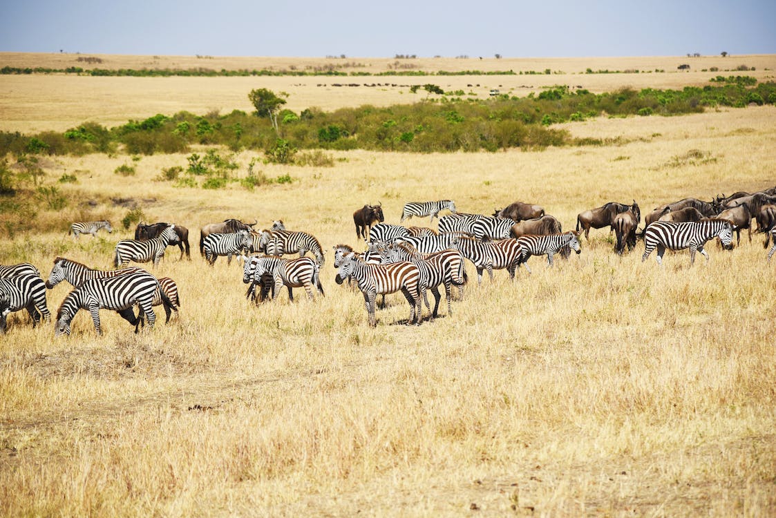 Explore Kajiado County: A Hidden Gem in Kenya