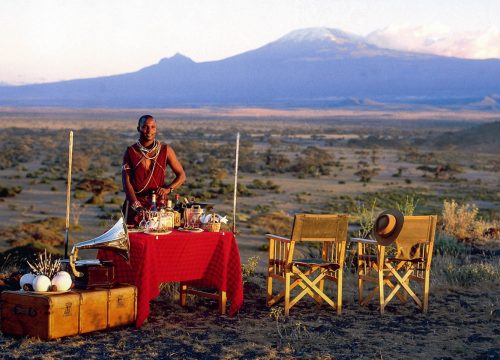 Experience the Magic of Christmas on a Kenyan Safari Adventure!