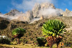 Mount Kenya