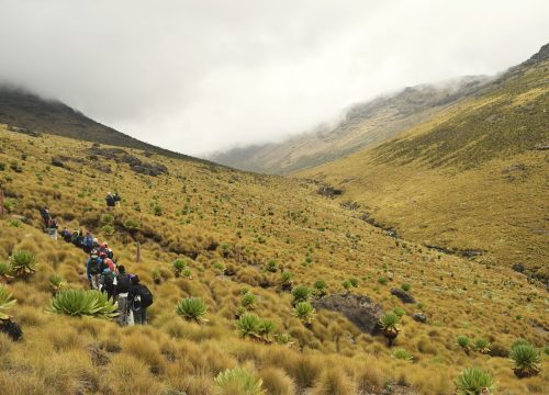 A Walk on the Wild Side: Hiking and Trekking Adventures in Kenya