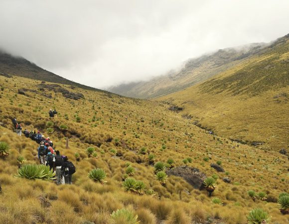 A Walk on the Wild Side: Hiking and Trekking Adventures in Kenya