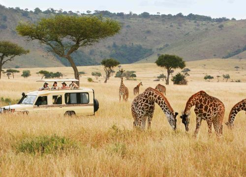 Kenya on a Budget: Traveling Affordably Without Compromising Experience