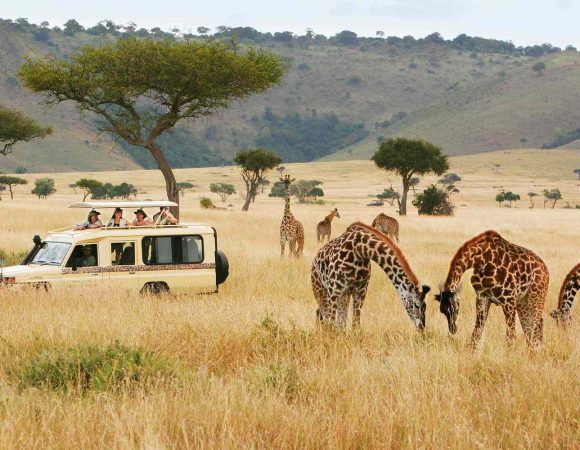 Kenya on a Budget: Traveling Affordably Without Compromising Experience