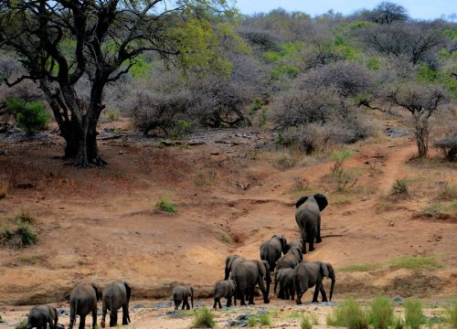 Kenya for Families: Fun-Filled Adventures for All Ages