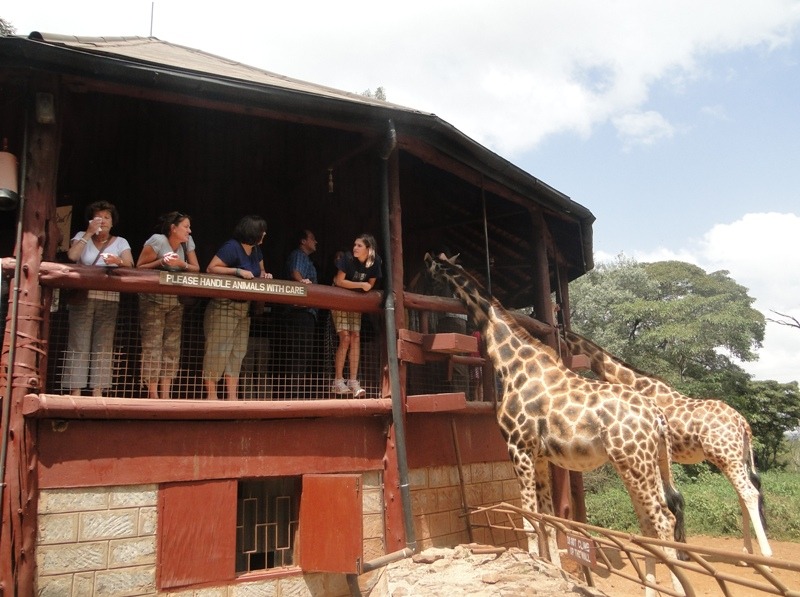 Day tour of  Giraffe Centre