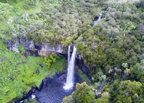 Chasing Waterfalls: The Unrivaled Beauty of Aberdare National Park