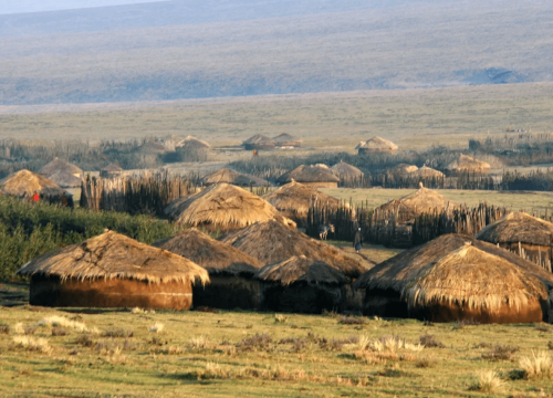 A Day with the Maasai: Cultural Immersion in Maasai Village