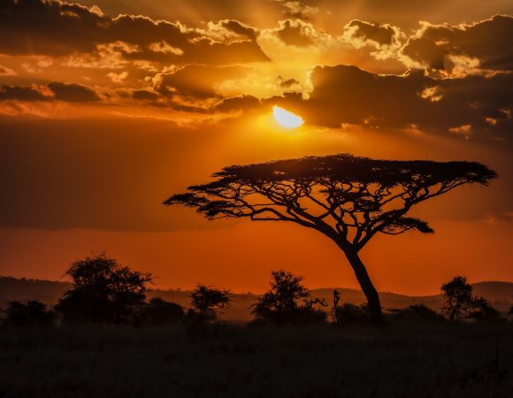 Discover Magical Kenya: Top 5 Holiday Destinations for 2024