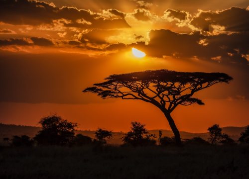 Discover Magical Kenya: Top 5 Holiday Destinations for 2024