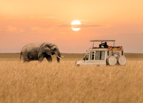 Maasai Mara