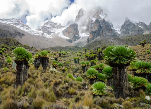 Mount Kenya