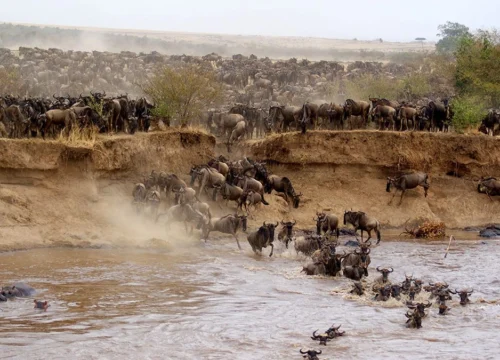 The Truth About Maasai Mara Safaris (And Why They’re Still Worth It in 2025)
