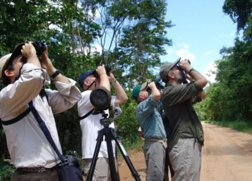 Birdwatcher’s Paradise: Kenya’s Underrated Avian Hotspots