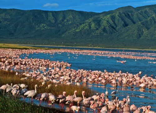 9 Unforgettable Rift Valley Lakes You Can’t Miss on Your Kenya Safari